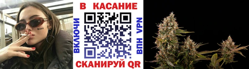 Виды наркотиков купить Волхов Альфа ПВП Псилоцибиновые грибы КОКАИН Гашиш Амфетамин Каннабис Мефедрон