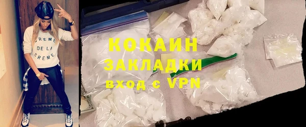 сатива Арсеньев