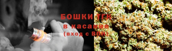 сатива Арсеньев