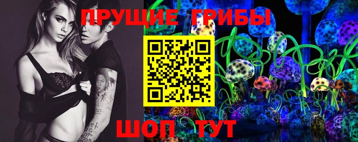 Галлюциногенные грибы Psilocybe Волхов