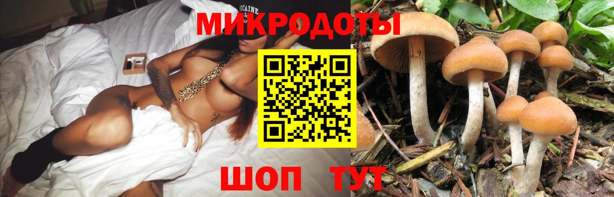 Волхов  купить наркоту  Вход с VPN  Псилоцибиновые грибы GOLDEN TEACHER 